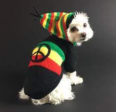Rasta Dog Dog Sweater Dog Clothes Chilly Dogs