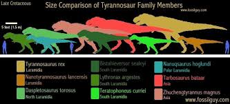 Fossilguy Com Types Of Tyrannosaur Dinosaurs And Origins Of