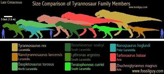 fossilguy com types of tyrannosaur dinosaurs and origins of