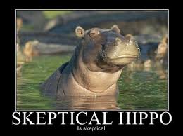 images?q=tbn:ANd9GcSfA67RFyeekRPvVVKSprB