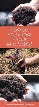 If You Don T Have Healthy Soil It S Going To Be Really Hard To Grow A Vegetable Garden Here S How To Figu Garden Soil Garden Soil Preparation Soil Improvement