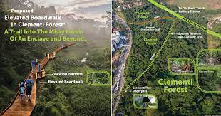 We did not find results for: Nature Lover Proposes Building 500m Elevated Boardwalk In Clementi Forest For Its Conservation Mothership Sg News From Singapore Asia And Around The World