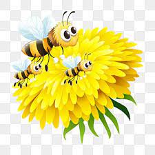 Yellow Beautiful Flower Bees Flower Illustration Bee On Flower Flower Clipart