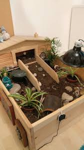 My Tortoise Enclosure With A Few Christmas Decorations Tortoise Enclosure Tortoise Habitat Turtle Habitat