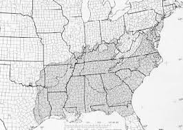 The native range of loblolly pine extends through 14 states from southern new jersey, south to central florida, and west. Quercus Falcata Michx