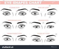 eyes face chart blank template makeup stock vector royalty