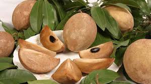 10 Manfaat Buah Sawo Untuk Kesehatan - MHomecare Blog