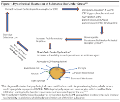 Image result for Loperamide Abuse