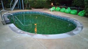 La Piscine Pour Enfant Non Entretenue Eau Verte Picture Of Lotus Paradise Resort Koh Tao Tripadvisor