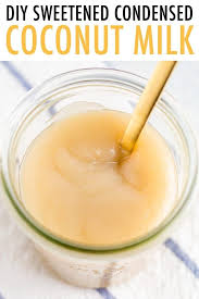 Sweetened Condensed Coconut Milk Vegan Eating Bird Food Recipe In 2020 Sweetened Condensed Milk Recipes Condensed Coconut Milk Coconut Milk Recipes