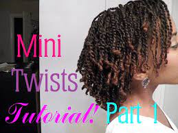 How To Do Mini Twists On Natural Hair Part 1 Thin Natural Hair Mini Twists Natural Hair Natural Hair Twists