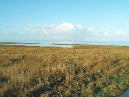 All friesland province hotels friesland province hotel deals by hotel type. Friesland Definition Und Synonyme Von Friesland Im Worterbuch Deutsch