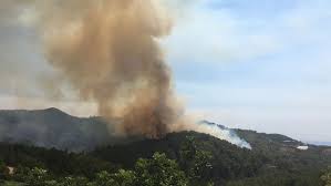 Jun 27, 2021 · лесной пожар в турции спалил более ста гектаров леса у популярного курорта 6lmwuecnzary4m