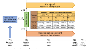 1,000 mg fe/wk (20 ml). Figure 1 From Intravenous Ferric Carboxymaltose In Patients With Type 2 Diabetes Mellitus And Iron Deficiency Clever Trial Study Design And Protocol Semantic Scholar