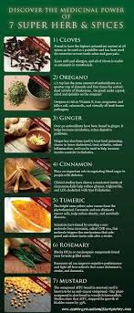 Medical Power In Spices Healing Food Herbalism Health Remedies