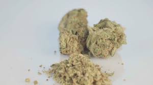 Drug addiction research papers examples | wepapers drug addiction is a group of disorders resulting from the systematic use of substances included in the officially approved list of drugs (this division is predicated primarily by legal rather than medical factors, as from the positions of clinical. Marijuana Legalization Successes Pave Way For National Conversation On Drug Laws Experts Abc News