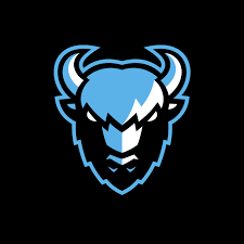 Статистика фк динамо минск в чемпионате беларуси. Redizajn Dinamo Minsk Quberten