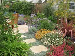 Photo Of Tamar Carson Landscaping Oakland Ca United States Drought Tolerant M Mediterranean Landscaping Drought Tolerant Landscape Drought Tolerant Garden