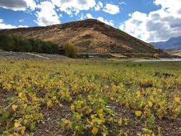 Maybe you would like to learn more about one of these? Adaspvg2tqo2mm