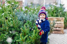 Get free shipping on qualified real christmas trees or buy online pick up in store today in the holiday decorations department. Where To Buy Christmas Trees In London The London Resident