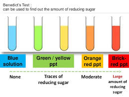 nutrients