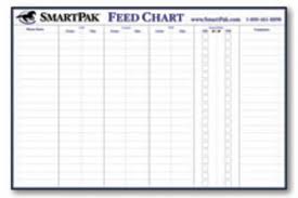 horse feeding schedule template namabayi