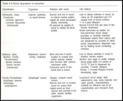 Water Biomes Chart Related Keywords Suggestions Water