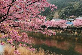 © 2021 feniks | wordpress theme: åˆæ˜¥éŠéœå²¡ä¼Šè±† ä¾†å ´èˆ‡ æ²³æ´¥æ«» çš„çˆ›æ¼«é‚‚é€… Wamazing Media