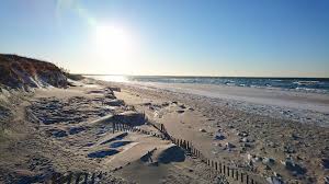 Mayflower Beach Cape Cod Ma Best Flower Site