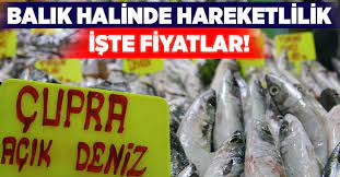 Haldeki fiyatlarla semt pazarları ve marketlerin fiyatını. Denizli Balik Hali Hareketli Iste Balik Fiyatlari Deda Haber