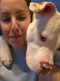 Explore Fun Trends with CapCut and Bruce and Banana