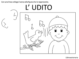 Udito E Olfatto Schede Da Colorare Senso Attivita Del Corpo Umano Immagini Di Scuola