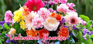 Although roses are the most popular valentines day flowers, such other flowers like lilies, alstroemeria, iris, tulips, daffodils, hyacinths, carnations. Convey Your Heartfelt Message With Various Types Of Flowers For Valentine S Day