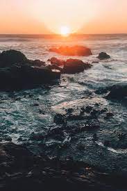 The south african aesthetic devices market is expected to register a cagr of 11.51% during the forecast period. This Is Wild Tumblr Com Post 158210388568 Africa Destinations South Africa Photography Cape Town