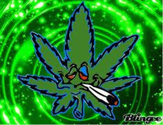 Couple days early but it will give you dudes some time to pass this around, but happy 4/20! Hippies Gif