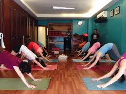 iyengar yoga center balancegurus