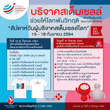 The thai red cross society is a major humanitarian organisation in thailand, providing services as part of the international red cross and red crescent movement. Skxu2baozcyhtm