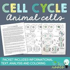 Maybe you would like to learn more about one of these? Cell Cycle Mitosis Reading And Coloring Activity Or Homework By Biology Roots