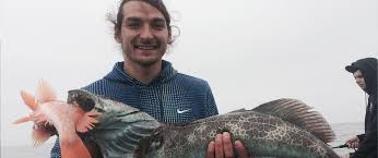 Lightly coat strips with cooking spray. Oregon Coast Fish Taco Recipe Brookings Fishing Reports