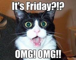36 Cats On Fridays Ideas Cats Funny Cats Funny Animals