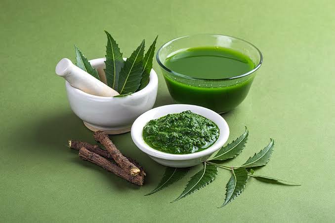 Ayurvedic Benefits of Neem | Ayurhealing Bangalore