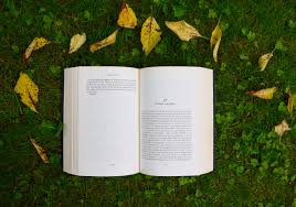 Giornata mondiale del libro e del diritto d'autore. Giornata Mondiale Del Libro 2021 Come Nasce E Dove Si Festeggia Style