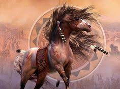 203 best indian horses images indian horses horses