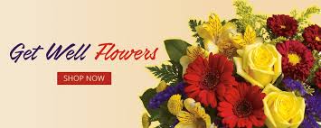 We did not find results for: Temperance Florist Flower Delivery By Shinkle S Flower Shop