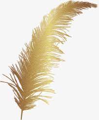 Pluma De Oro De Dibujos Animados Clipart De Dibujos Animados Dibujos Pintados A Mano Dorado Png Y Psd Para Descargar Gratis Pngtree Vintage Printables Free Vintage Printables Pink Feathers
