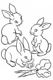 Ausmalbilder Kaninchen Ausmalbilder Kostenlose Ausmalbilder Ausmalbild Hase