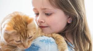 Renters, would-be buyers: Housing costs in Bloomington just too high