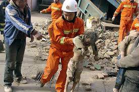 El terremoto más fuerte en china ocurrió el 12.05.2008 en la región de sichuan province con una magnitud de 5,5 en la escala de richter. Fotos Terremoto En China Internacional El Pais