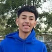 Aaron Michael Villarreal Obituary (2024)