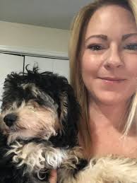 Happy 13th Birthday to a Beloved Labrador Dog